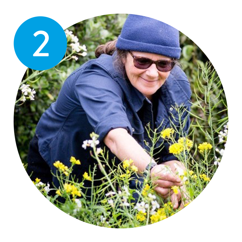 Learn how to successfully grow in Waiheke’s clay soil with Grow Inspired