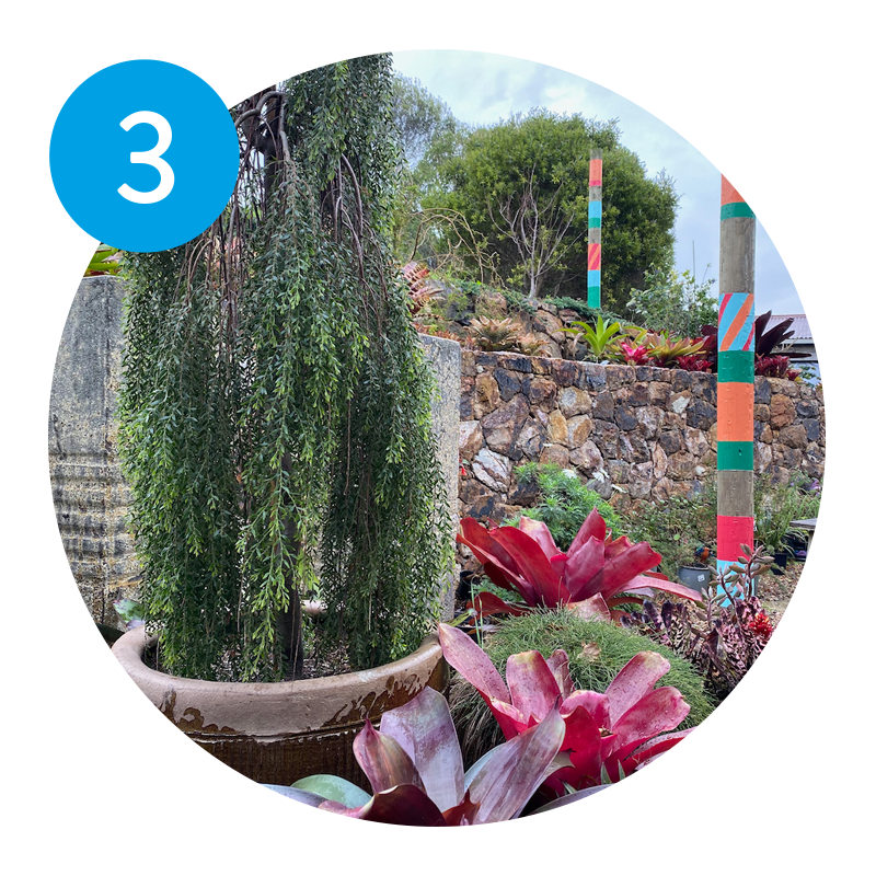 Garden Design in a Waiheke Setting&nbsp;with Lyndell Shannon