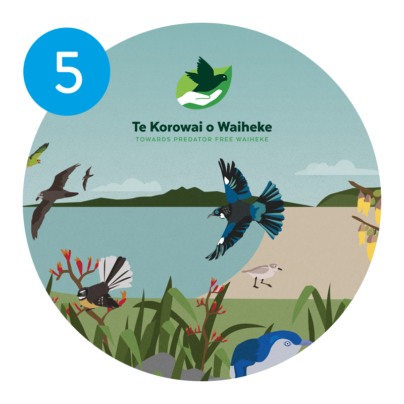 Keep rats out of your compost with Te Korowai o Waiheke