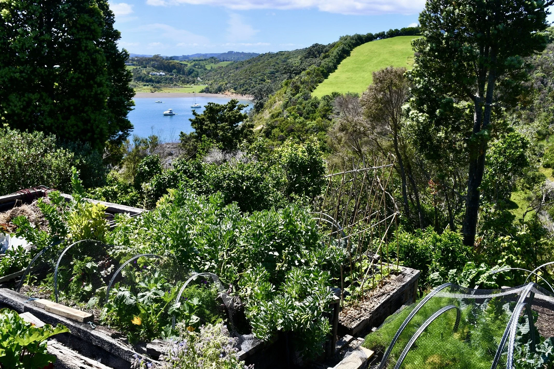 Garden 1