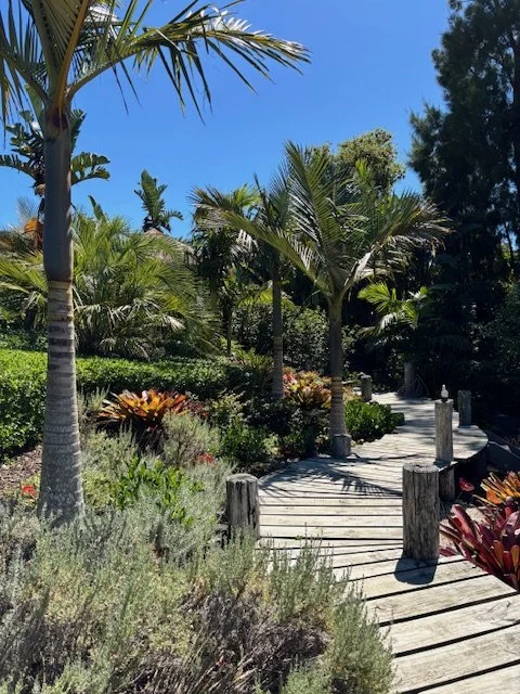 Garden 2