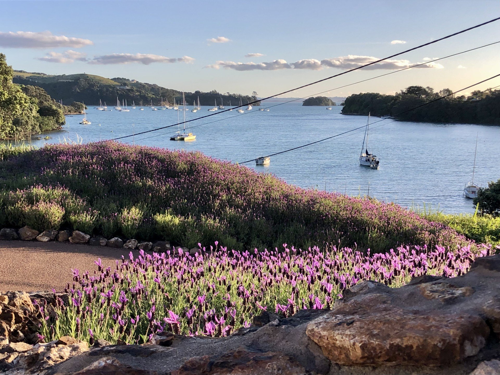 80 Wharf Rd view.jpg