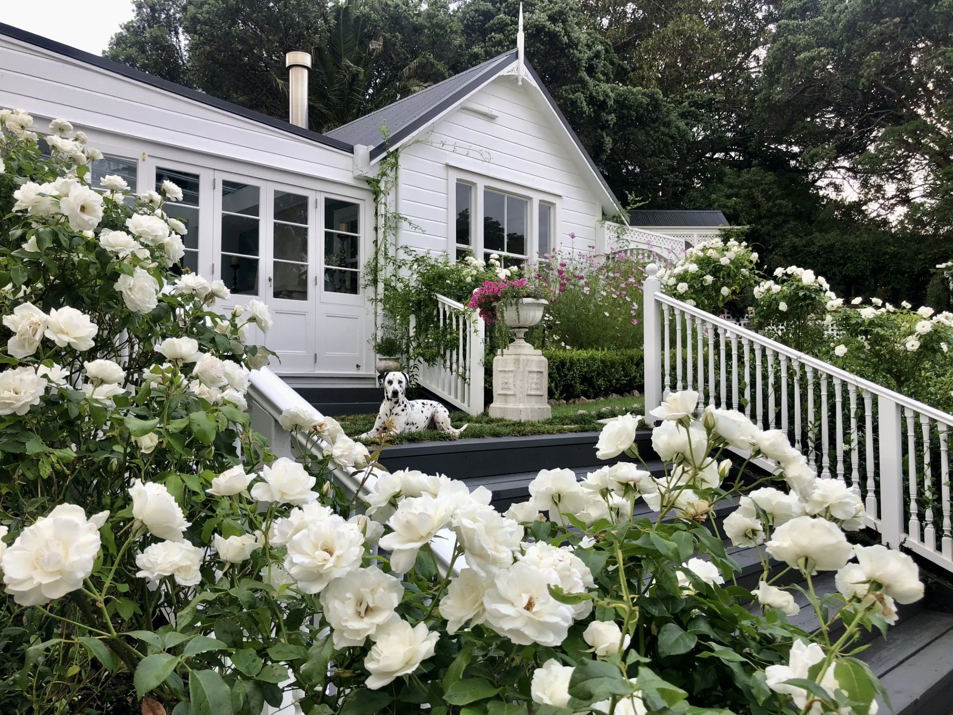 Garden 10
