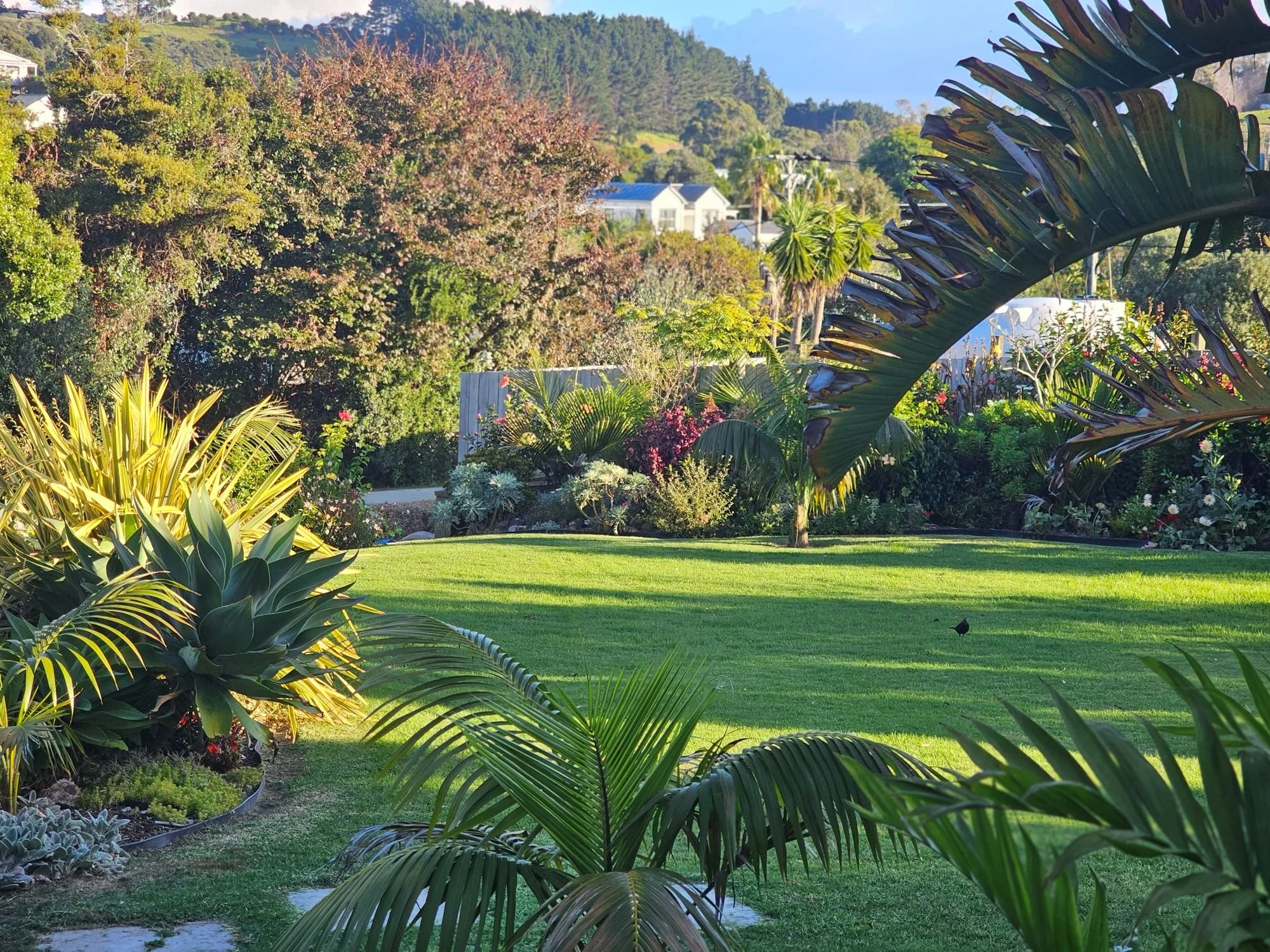 Garden 7