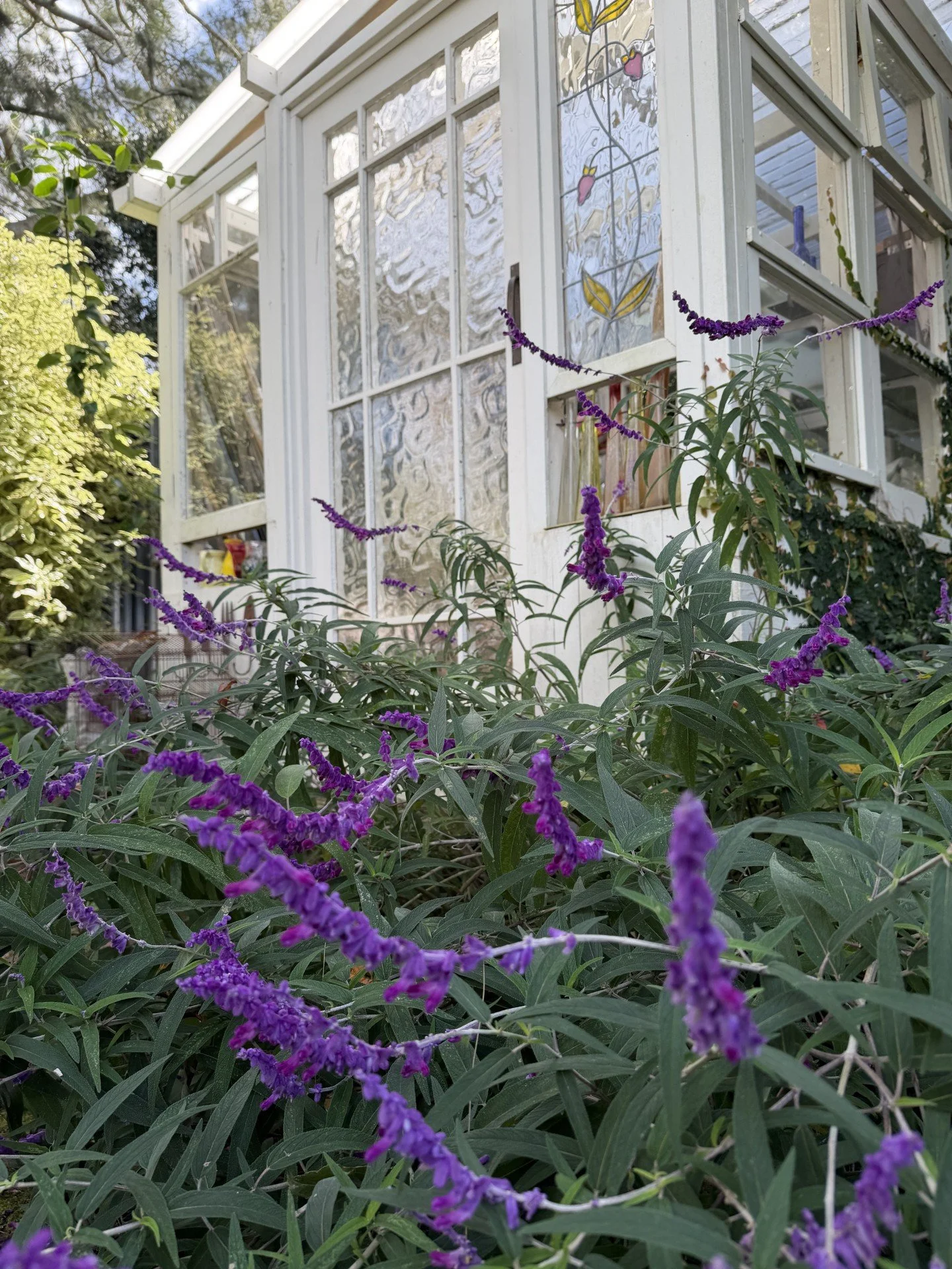Garden 9