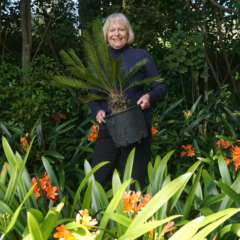 Ngaio’s Plant Sale