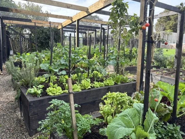 Garden 5 