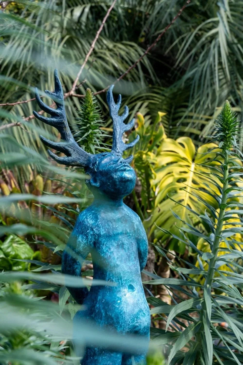 Garden 8