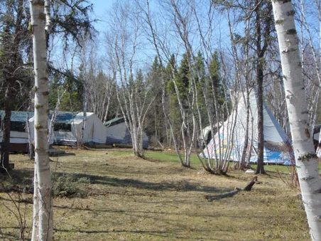 Picture5.jpg