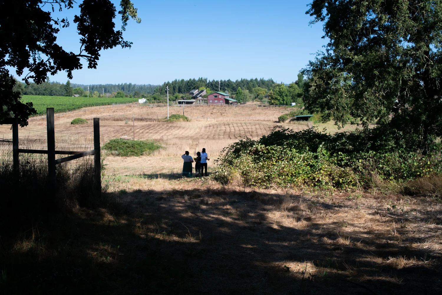 20190816_GreenValley-ListeningtoLand_mfh_DSC01493.jpg