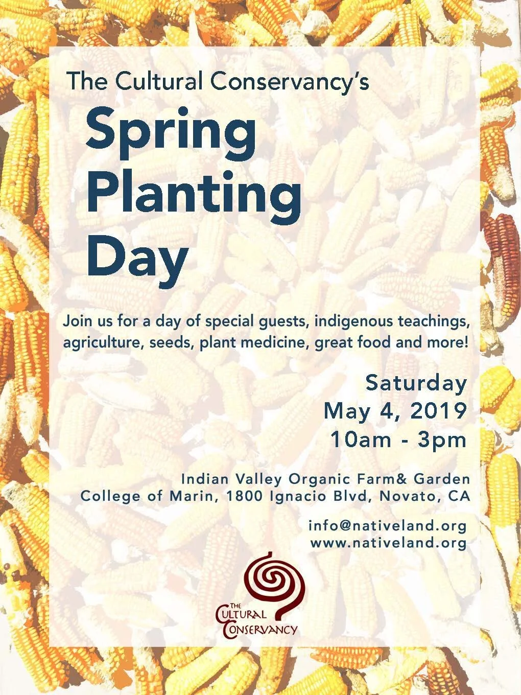 spring planting.jpg