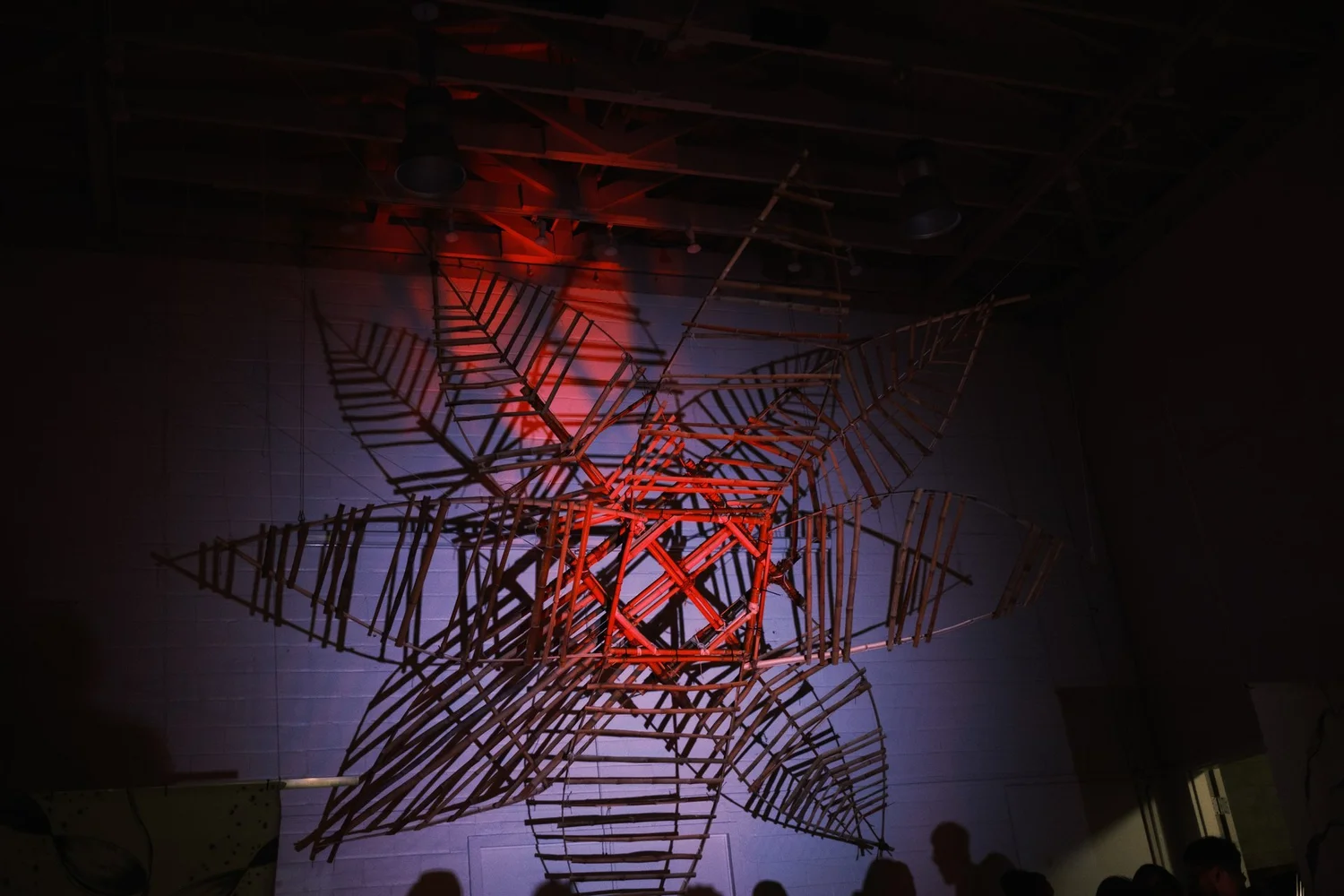 design/build — JULIA SOLANO