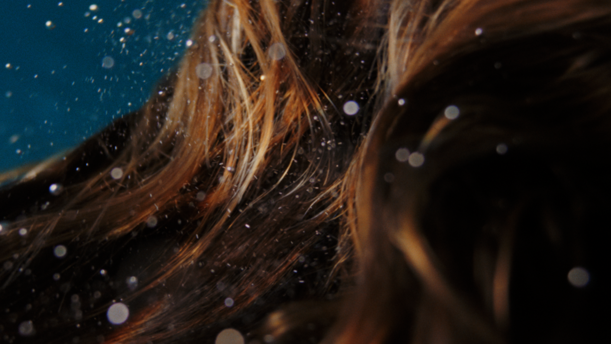 Viviscal_Oceana_0006_Hair-07.png