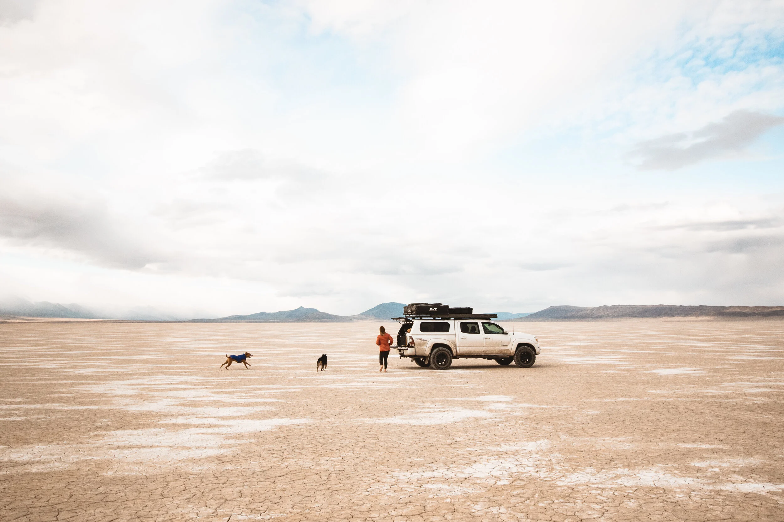 The Alvord Desert