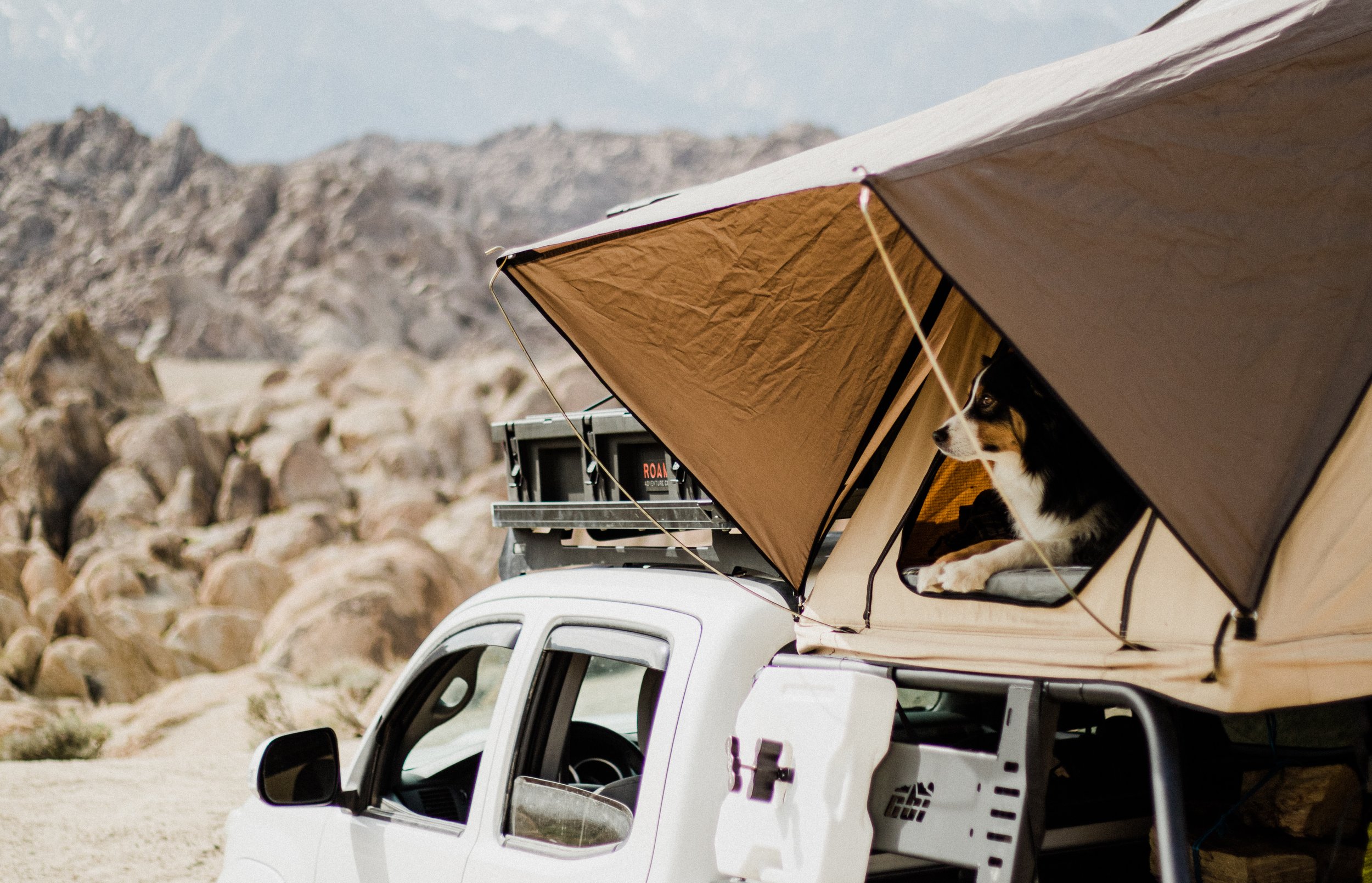 Alabama Hills (47 of 67).jpg