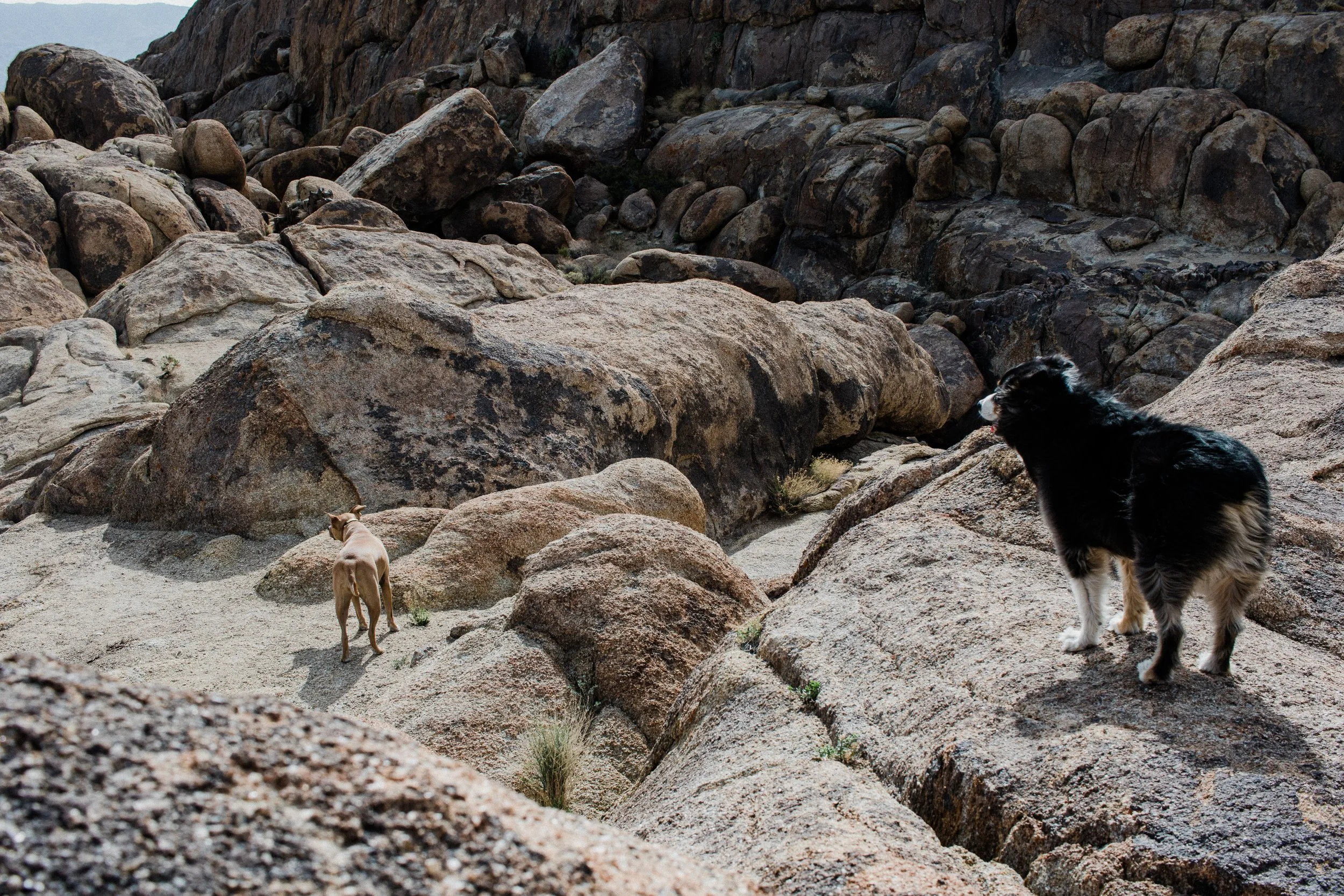 Alabama Hills (61 of 67).jpg