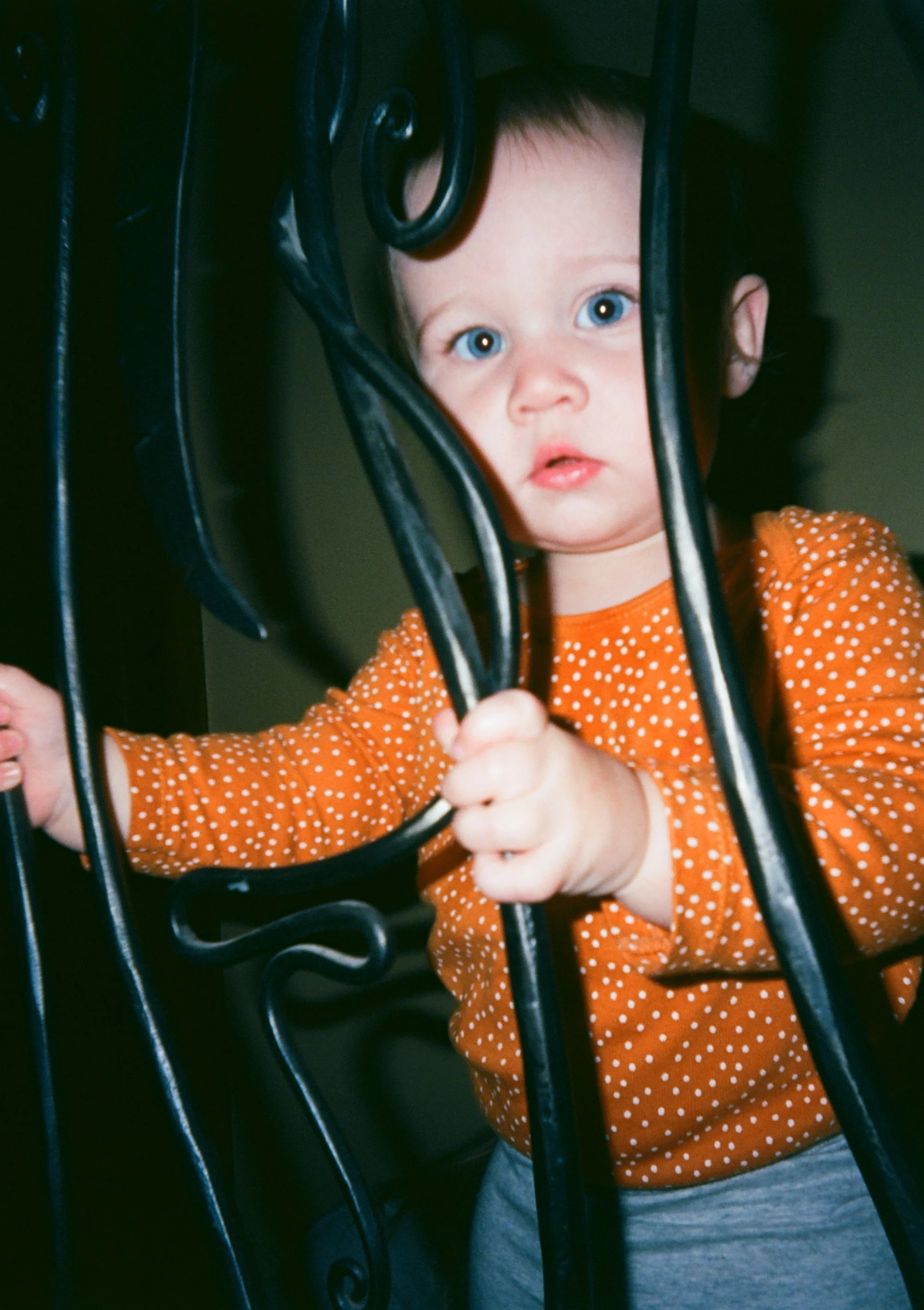 kodak_professional_ektar_100_01_09_2024_000228290036.jpg