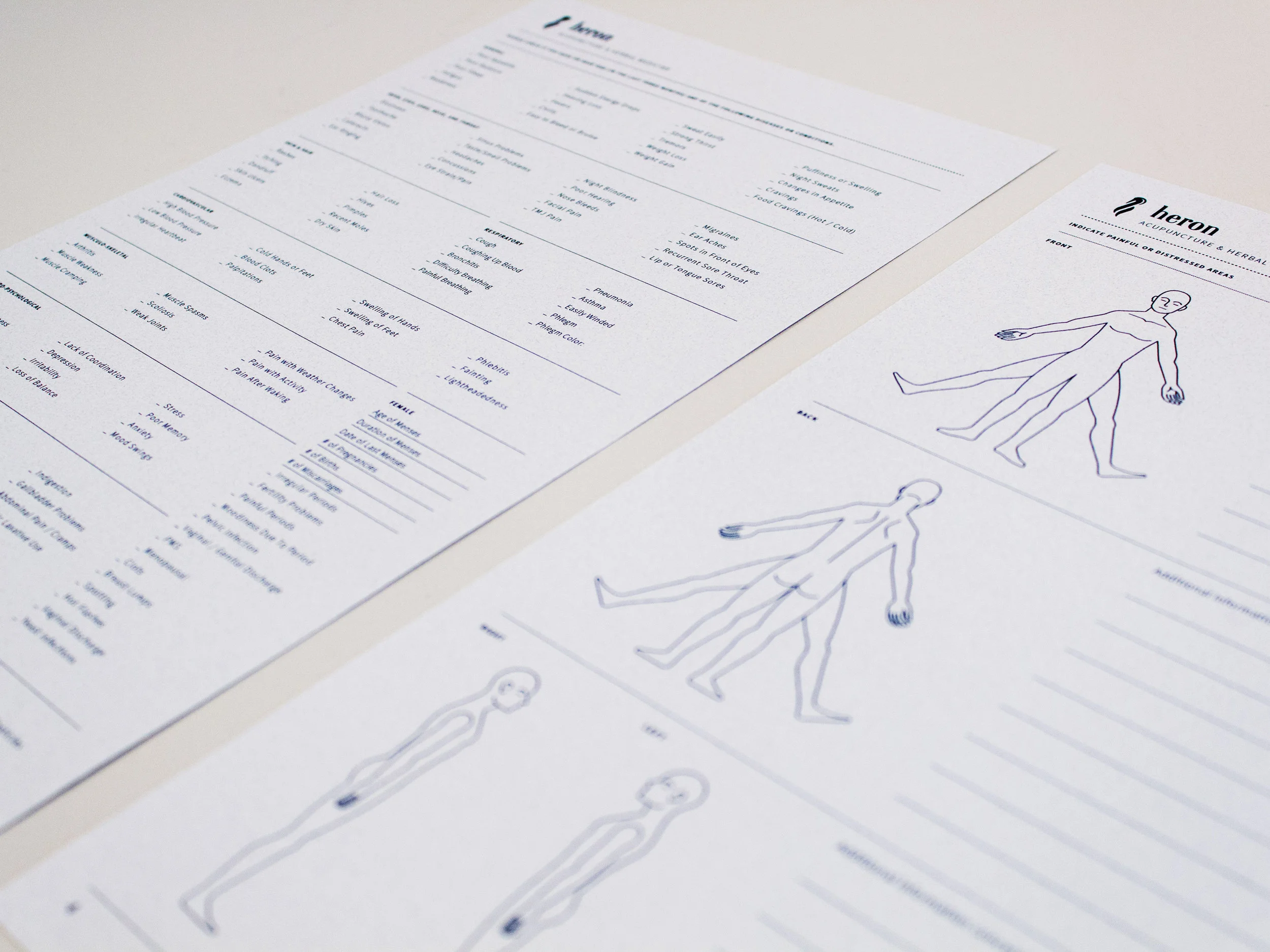 Heron-Pain-Indicator-Form-and-Check-List-Detail.jpg