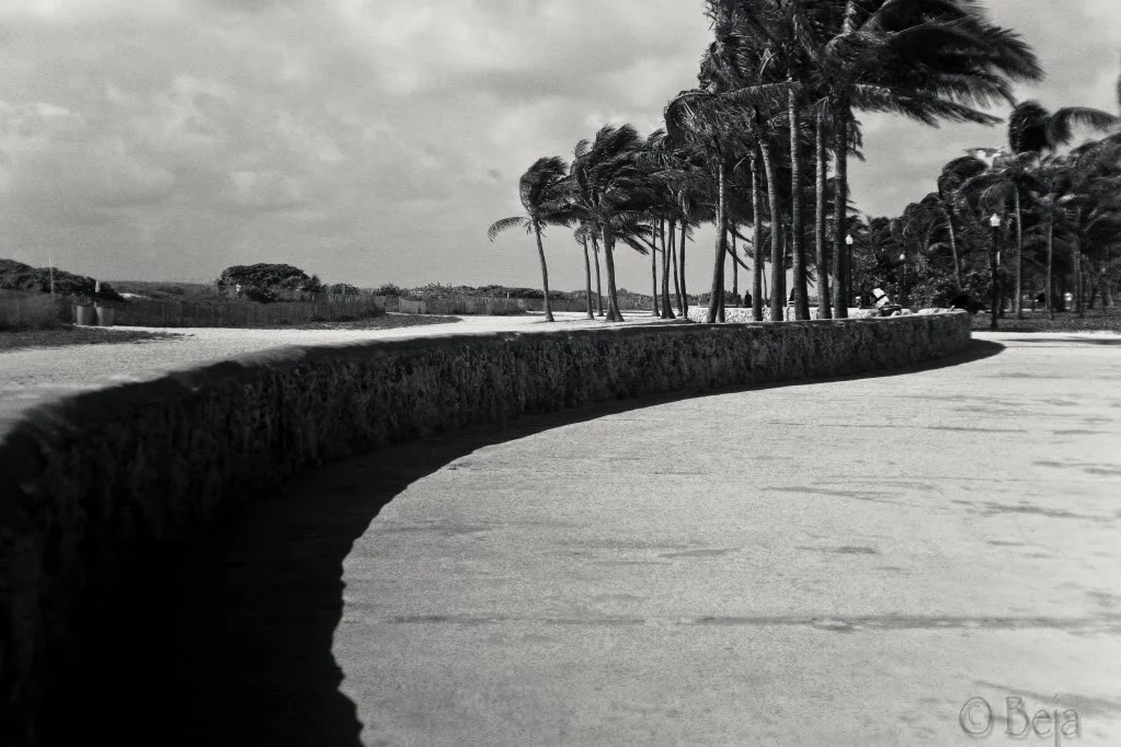 Things That Are Clear and Move (Some Thoughts About Motherhood On The Road)