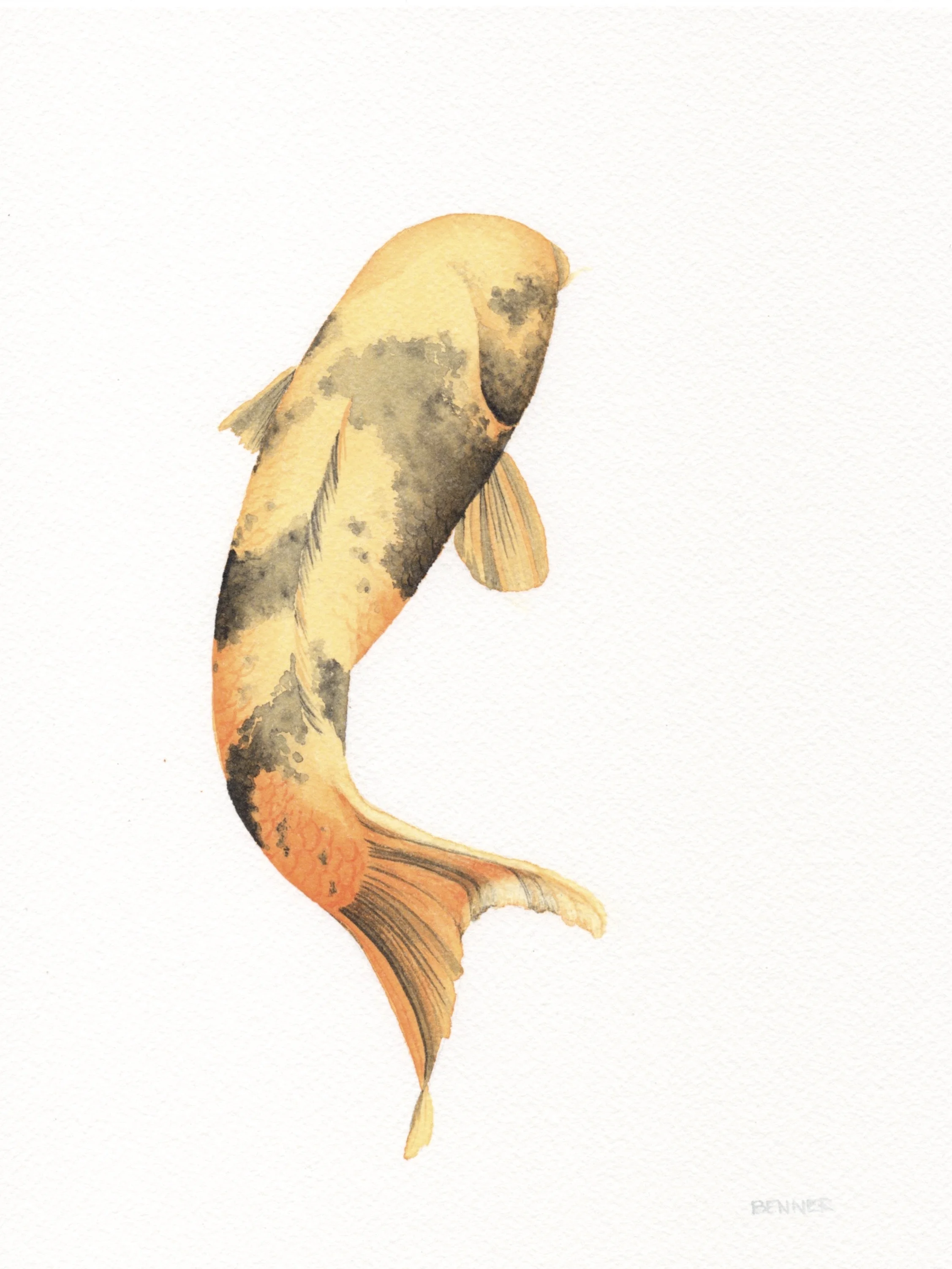 Number 5.jpg