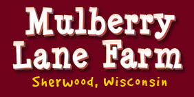 Mulberry Lane Farm