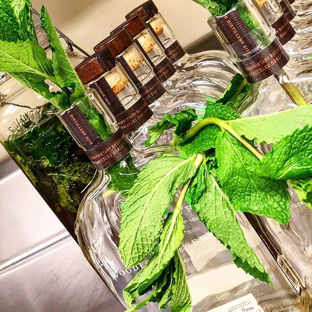 Adding Mint leaves 🌱to an old time favorite provides a fresh and cool taste to your palate. .
Mint Julep anyone? Try one with us! .
#mobilebartender #bartender #mobilebar #cocktails #bartenderlife #drinks #mobilebartending #weddings #bartending #cor