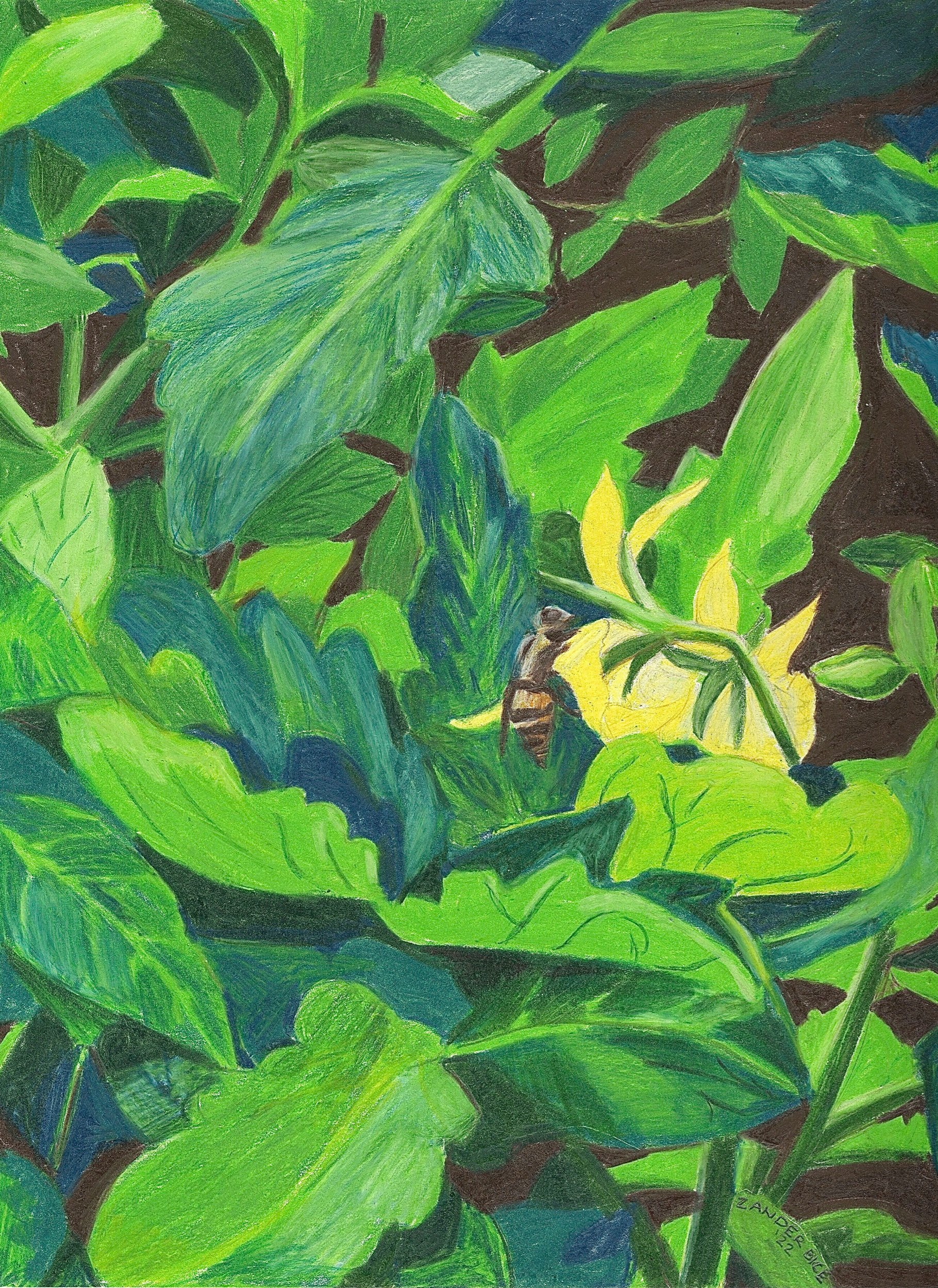 Bee and Tomato Plant, 9"x12", Colored Pencil on Paper, 2022