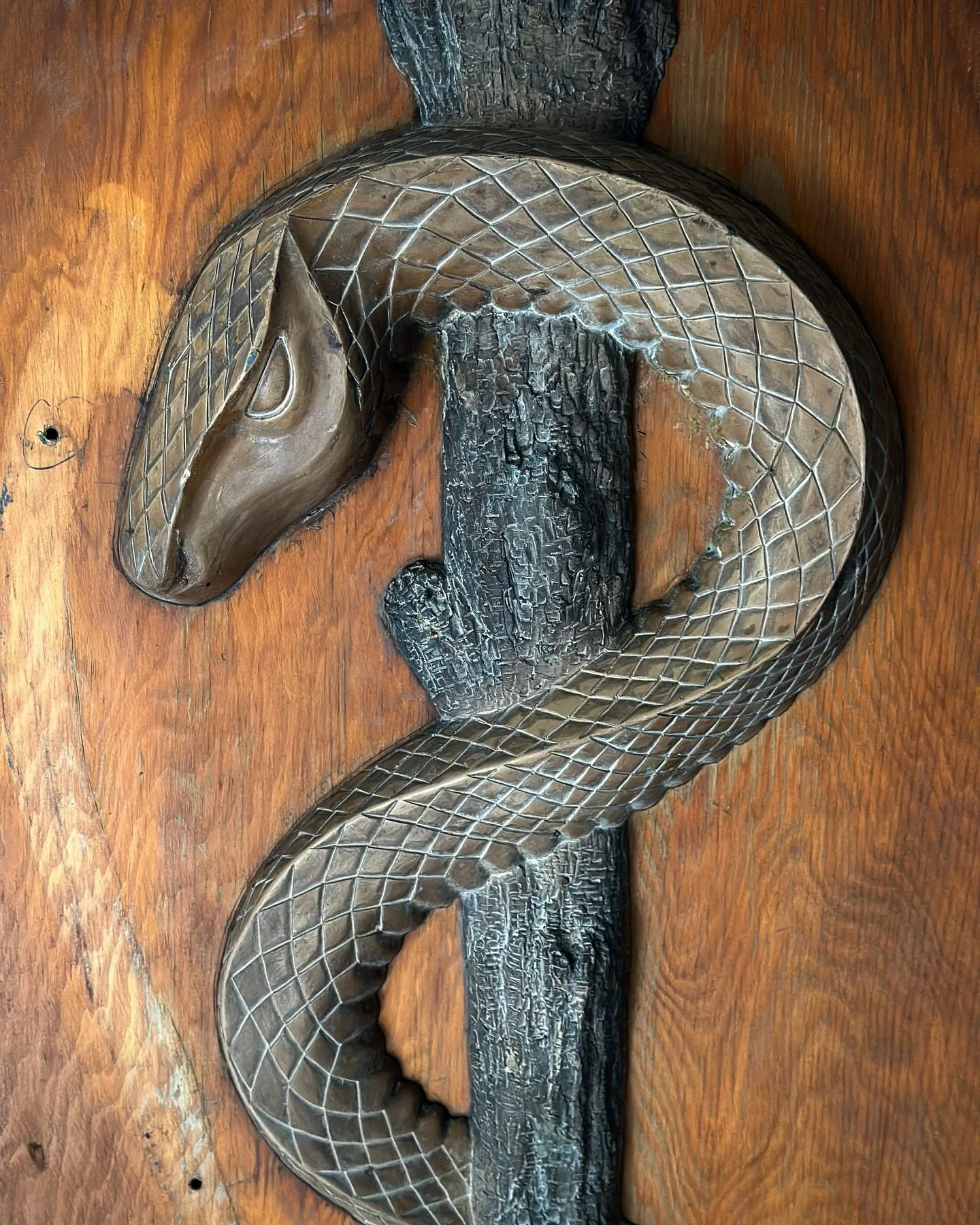 Slither ⬅️

Medical school foundry casting pattern