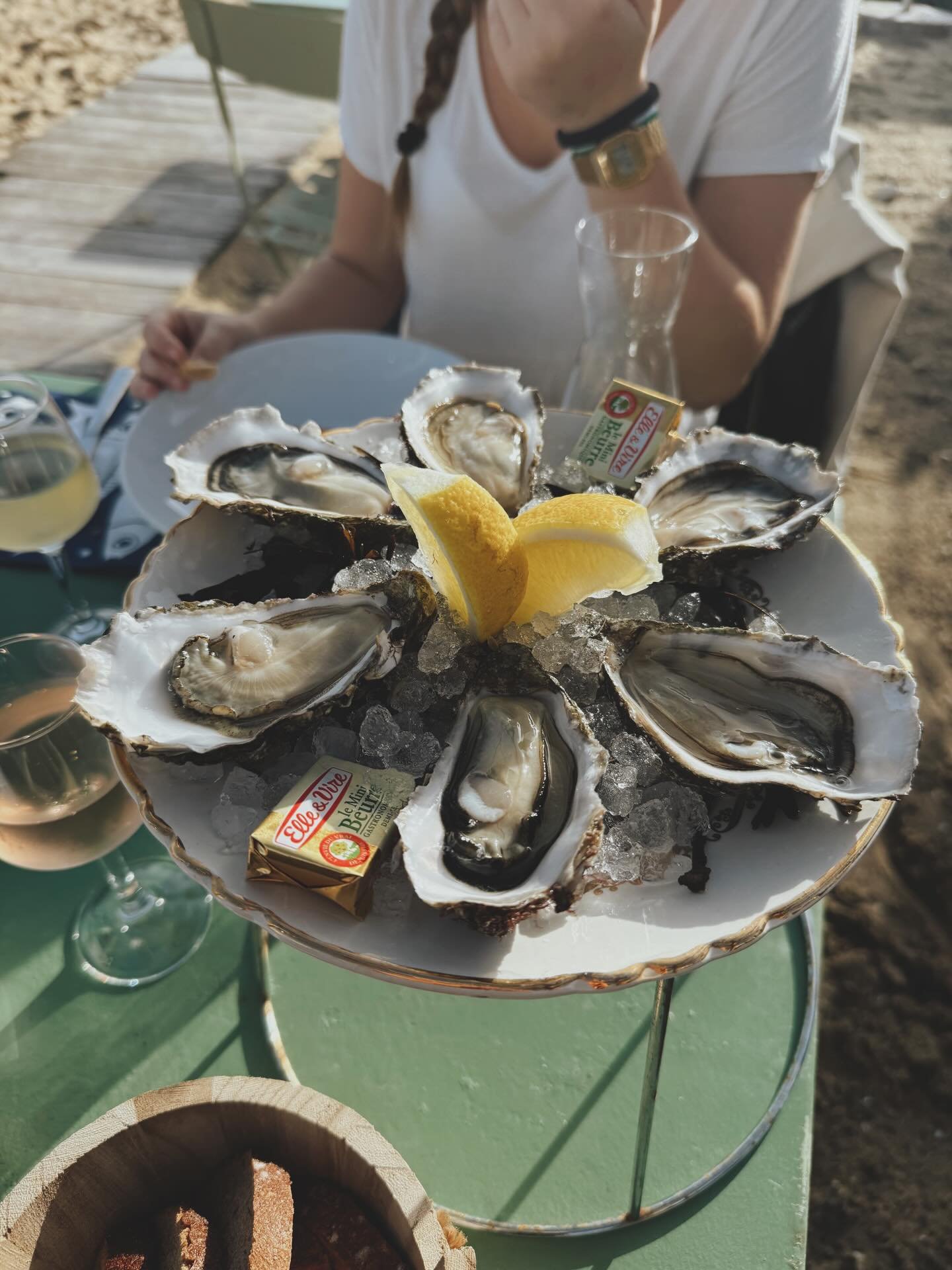 the magic that is cap ferret ✨ 

🦪🛶🥂🌲🛺🥖🐊