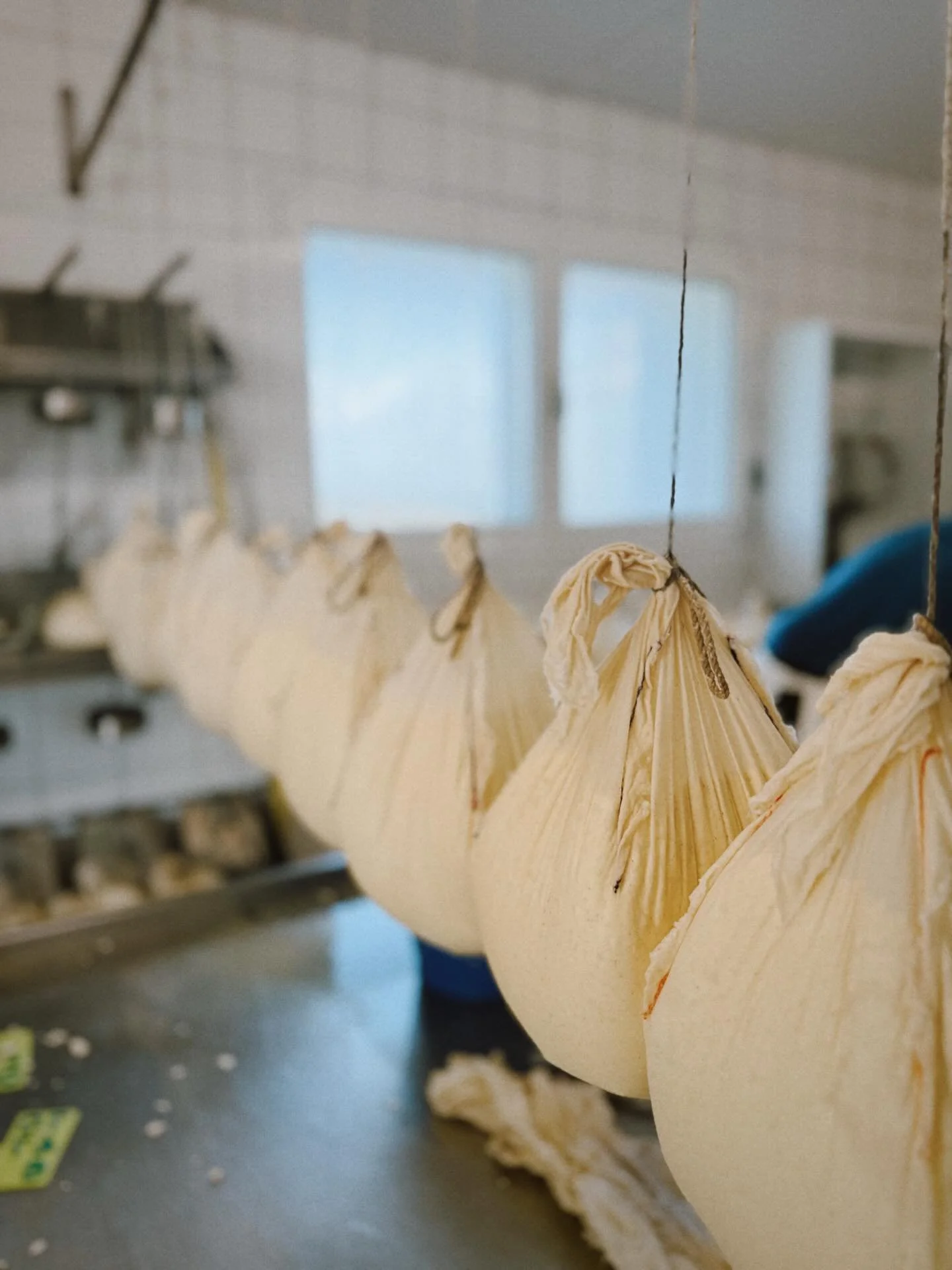 Wow. A trip in the off season to Menorca, vicious rain and clouds predominating. Fireplaces blazing. A side of the island I didn&rsquo;t know as well. Spent a night at @agroturismesonvives , a 12-room family-run bed and breakfast on a working farm. I