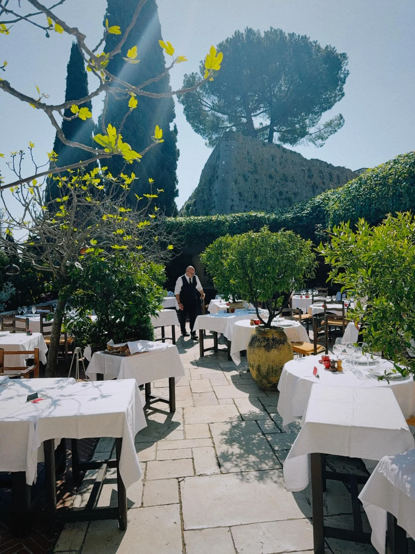 Leaving all these here because every corner of this place was magic and I hope all of you get to experience something like this one day 🕊️ 🌿 

A place that stays unchanged while the world around it crumbles and is reborn over and over again. Where 