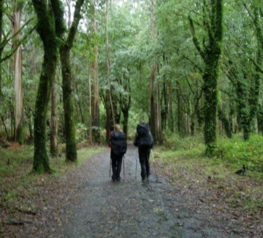 The Camino de Santiago: Honest Answers to All Your Questions