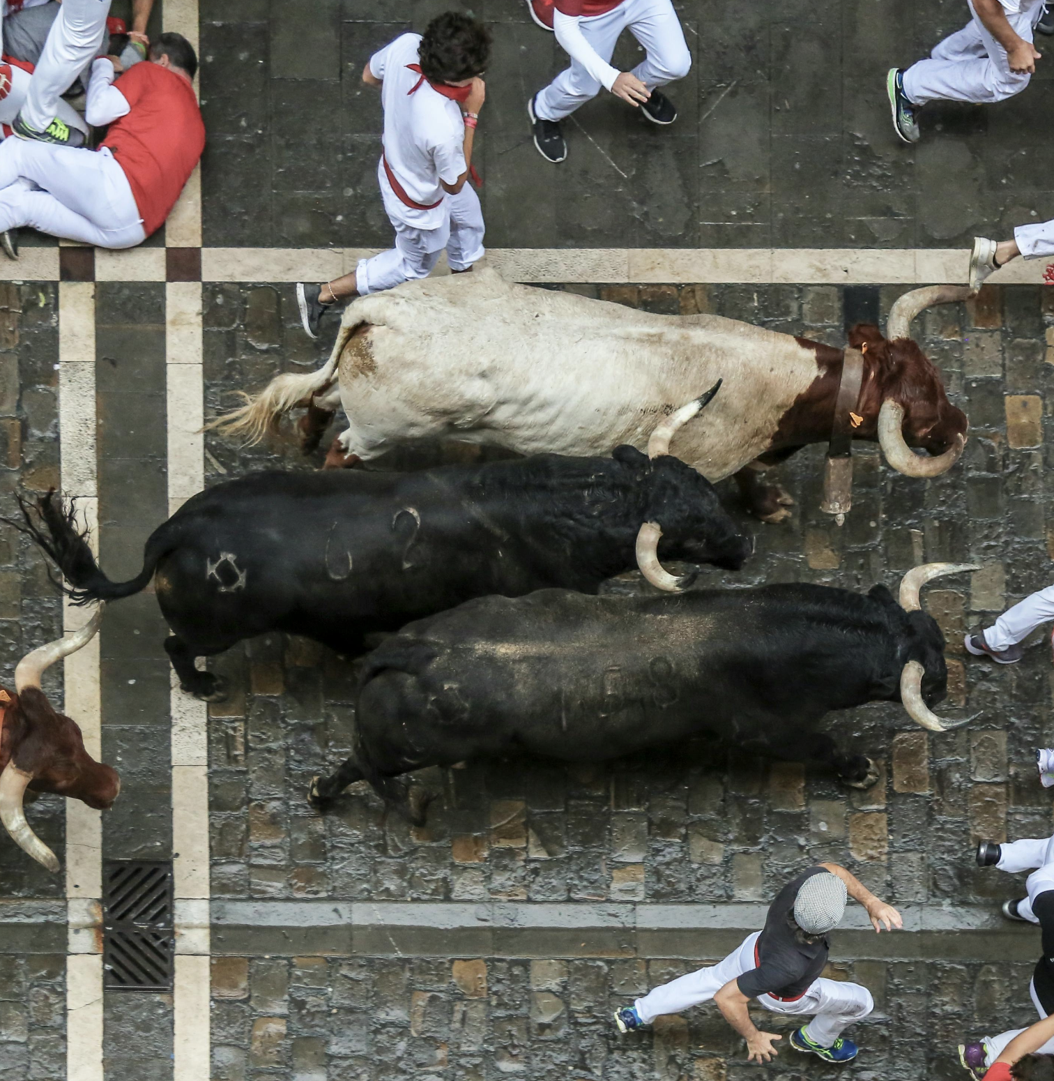 What Is the Festival of San Fermín, Really? I've Been Twice, Here's What You Need to Know