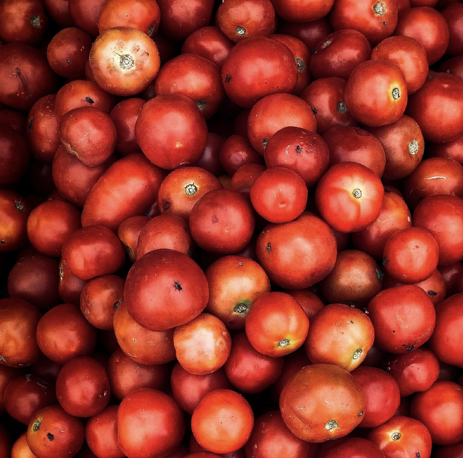 What Is La Tomatina in Spain? Inside the Largest Food Fight in the World