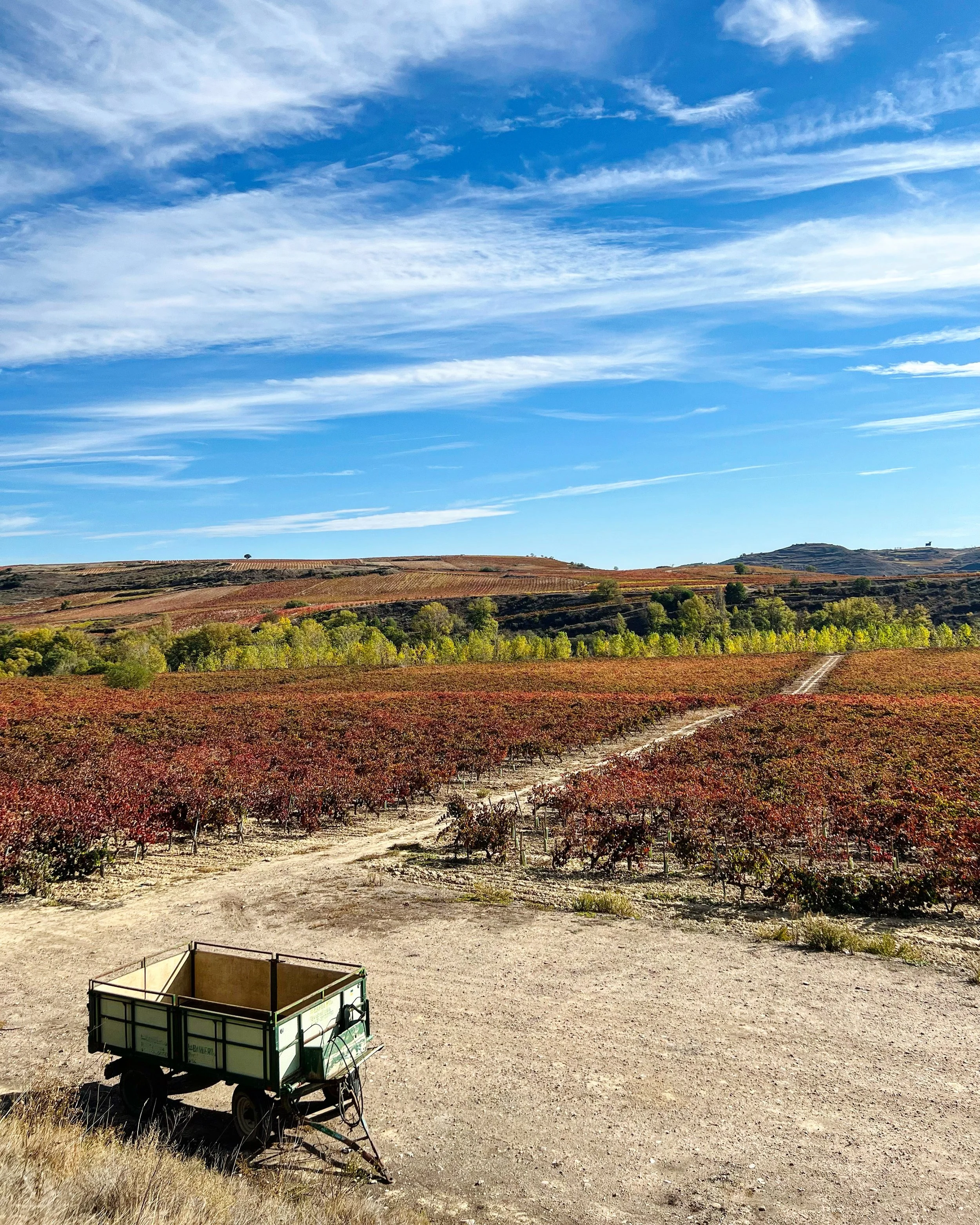 fall in wine country spain