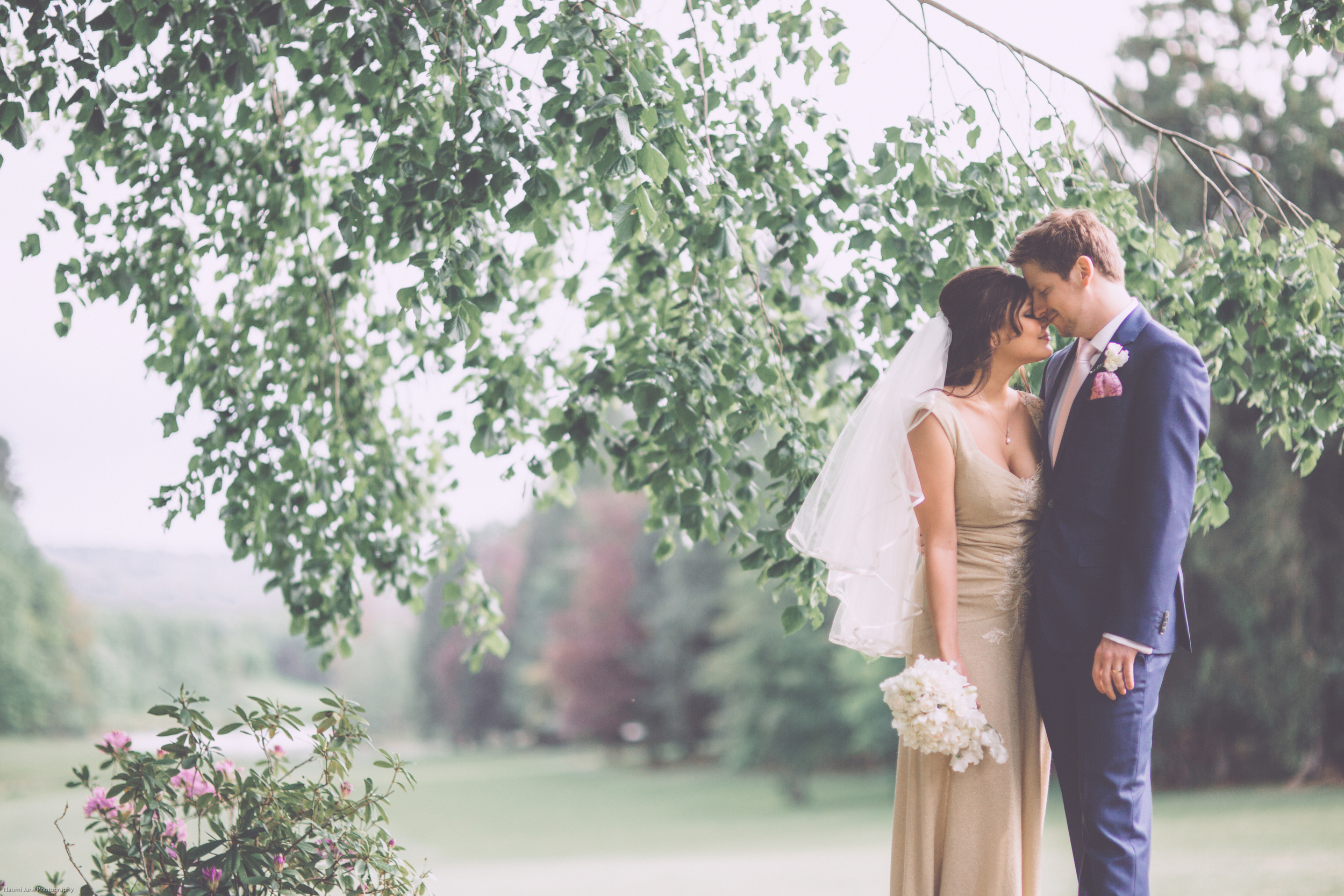 2015 roundup-1-4.jpg