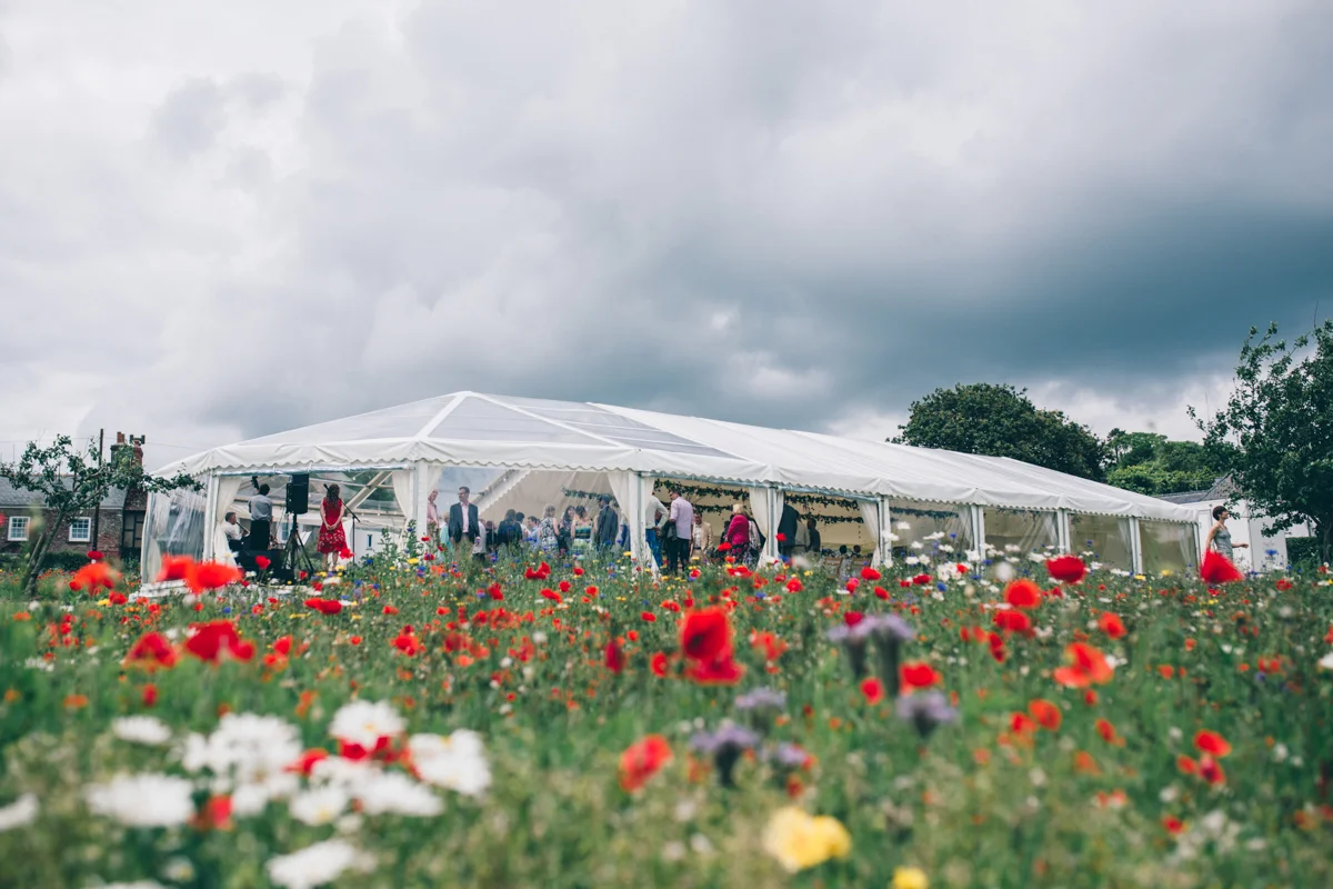 SUZ+MARK SOUTH DEVON VILLAGE GREEN WEDDING LOW-333.jpg