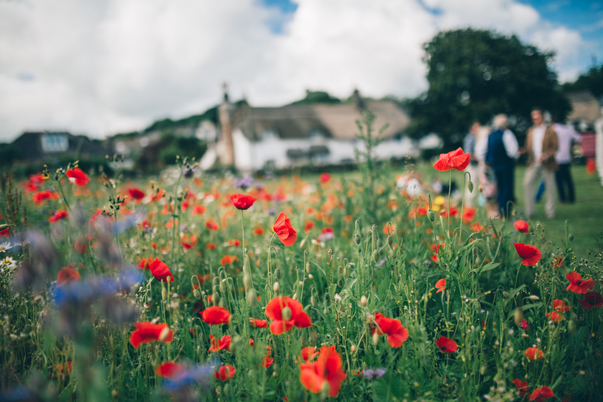 SUZ+MARK SOUTH DEVON VILLAGE GREEN WEDDING LOW-441.jpg