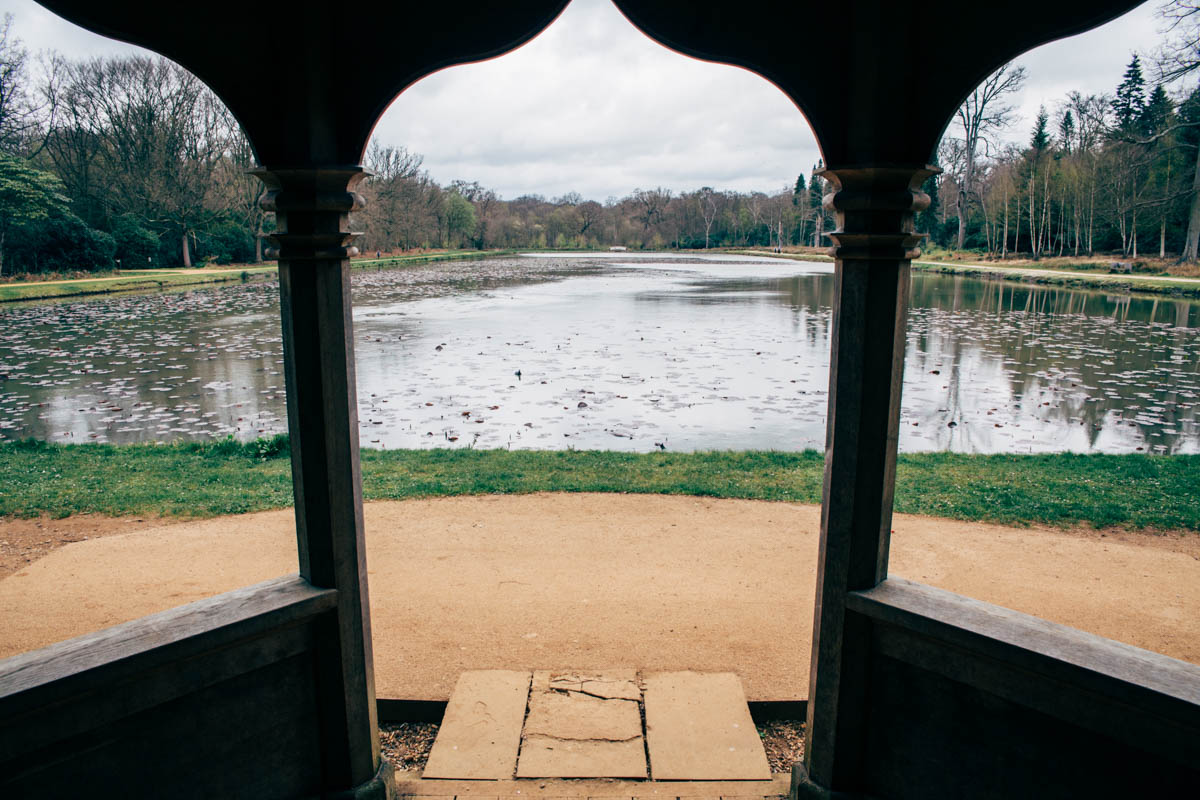 Emmie + Luke Proposal Shoot WIndsor Great Park NaomiJanePhotography-1.jpg