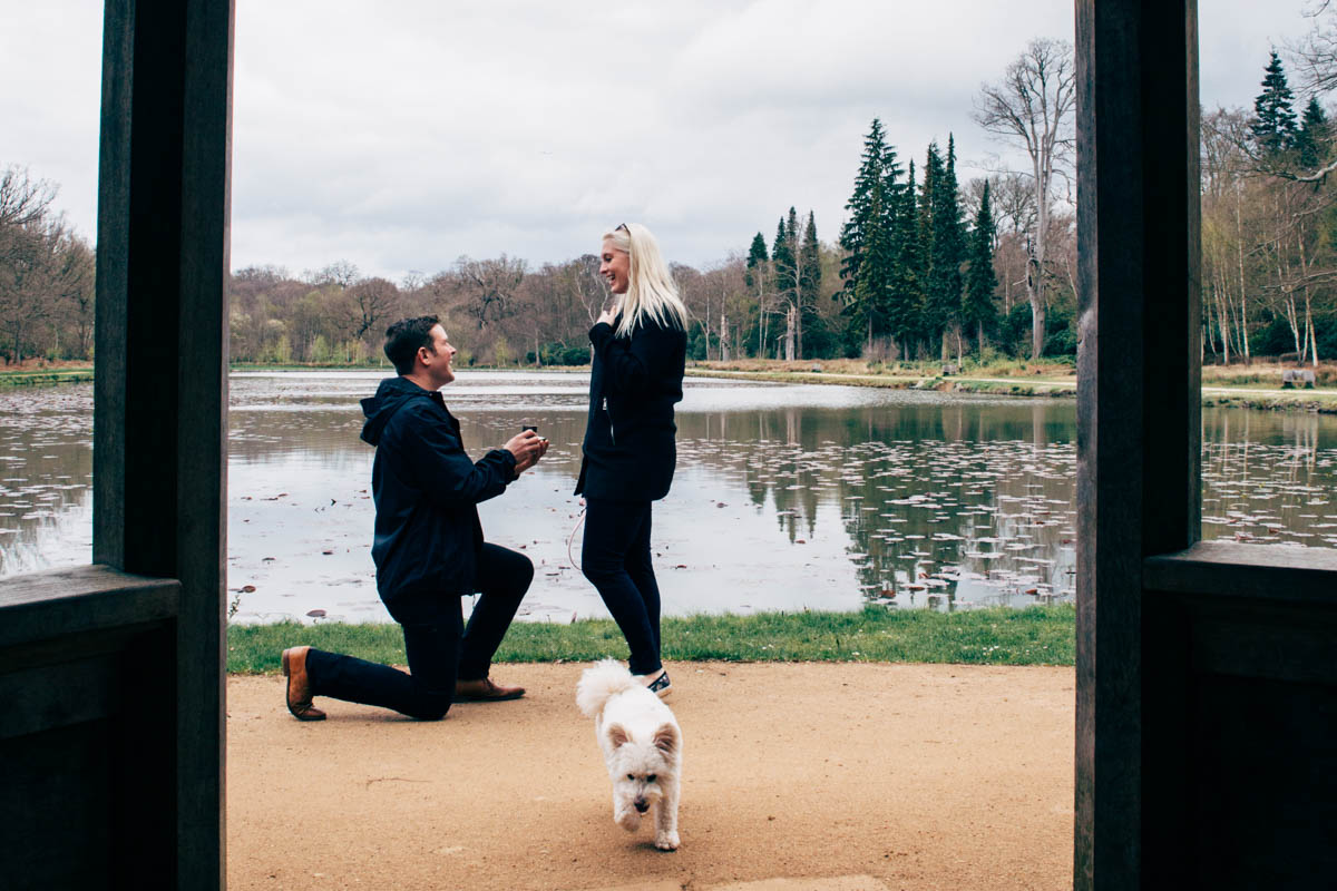 Emmie + Luke Proposal Shoot WIndsor Great Park NaomiJanePhotography-6.jpg