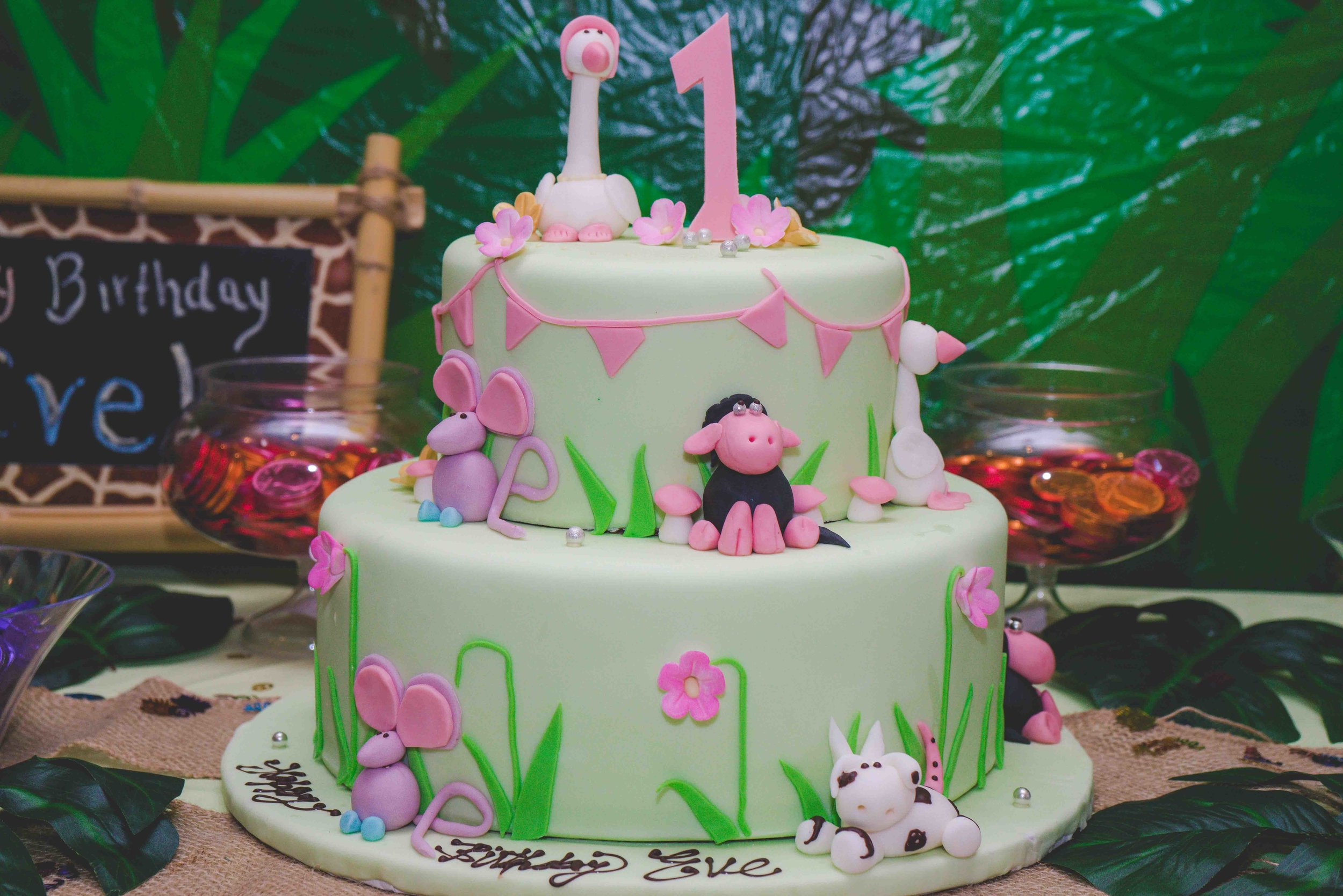 Eves First Birthday Party At Citibabes 