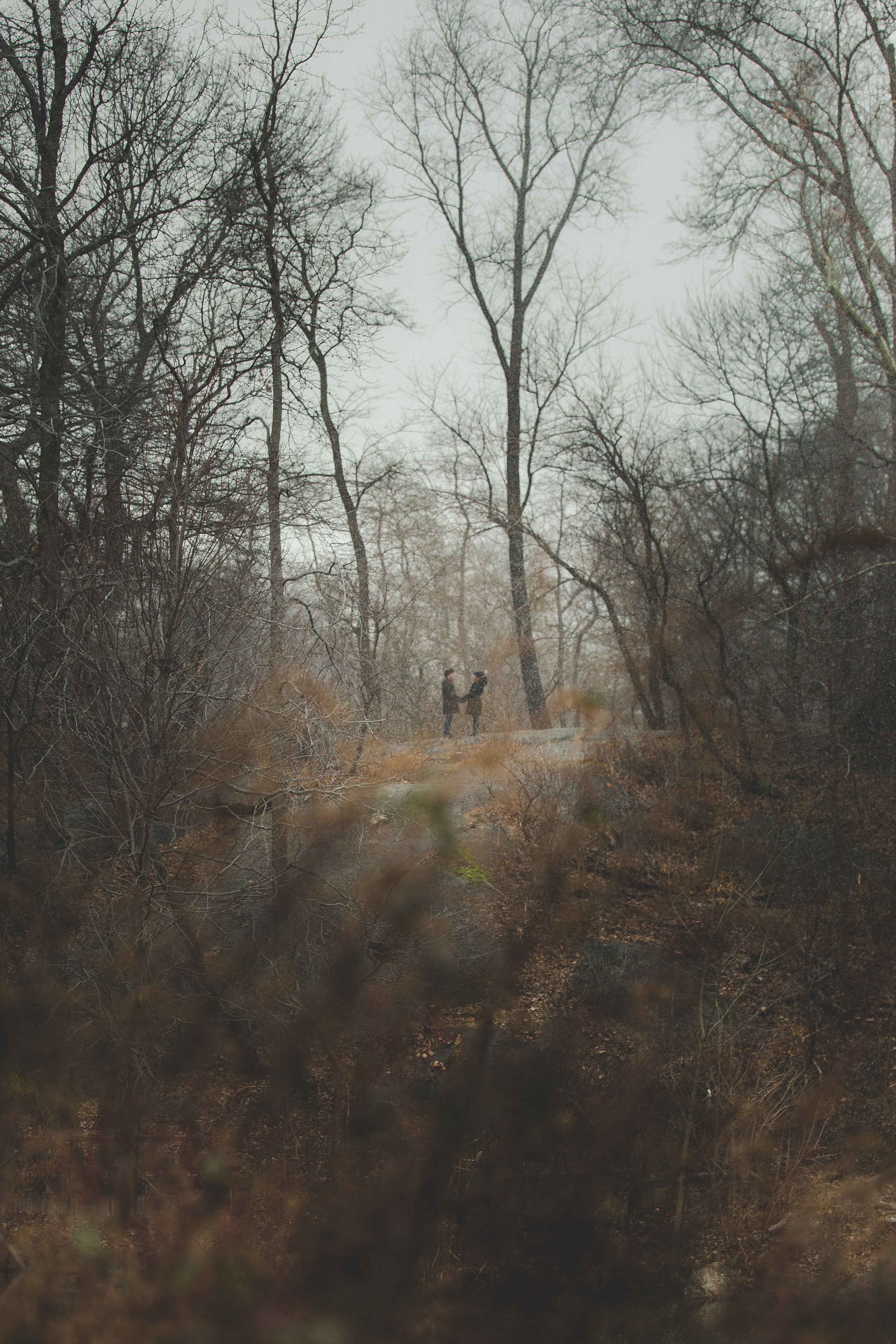 central-park-proposal-engagment-photography-snow-2-2.jpg