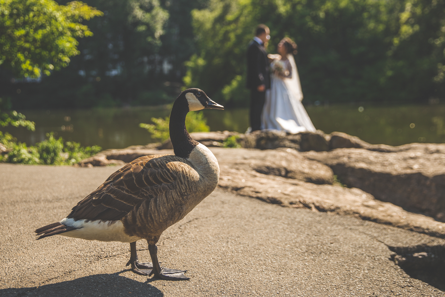Anyur & Baset Wedding || Central Park Wedding Photographer || Baku Restaurant