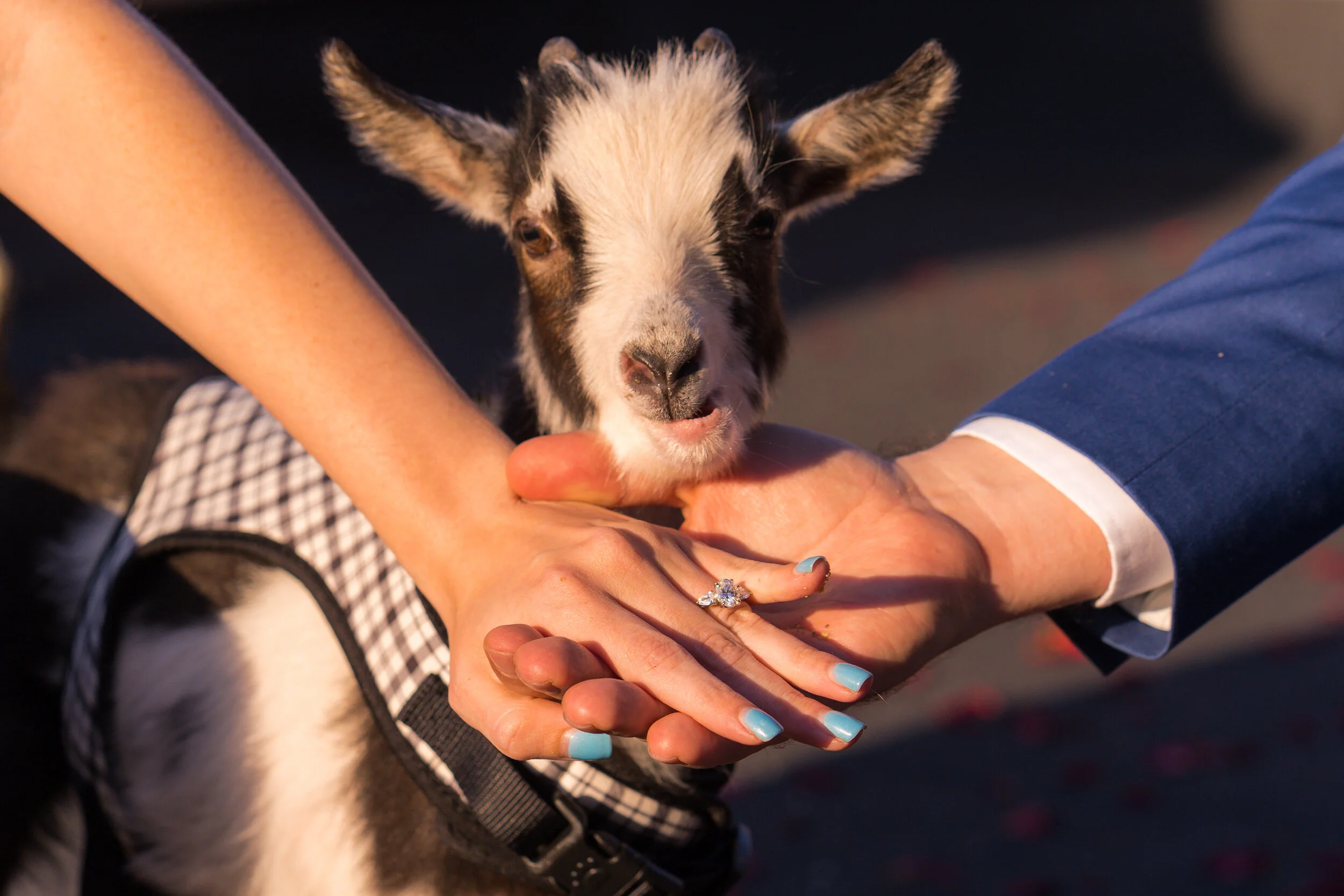 Will &amp; Elizabeth - West Village