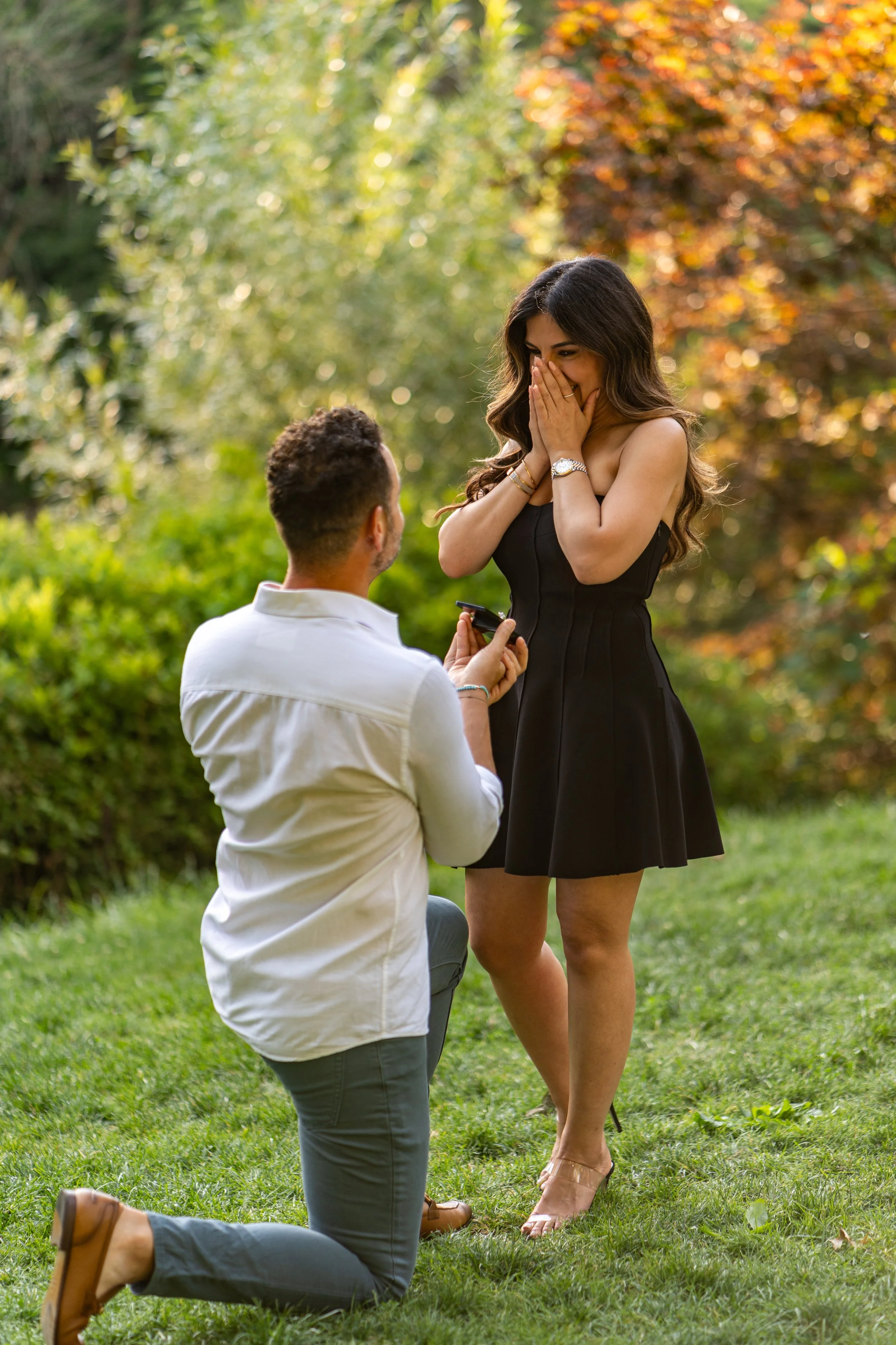 Proposal 12.jpeg