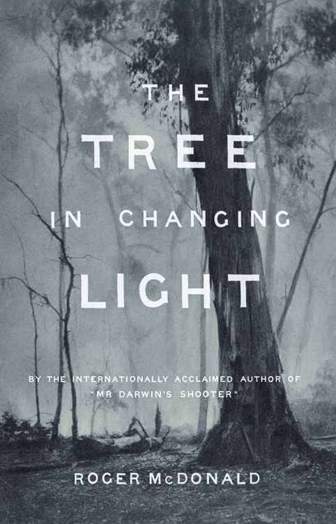 the-tree-in-changing-light.jpg