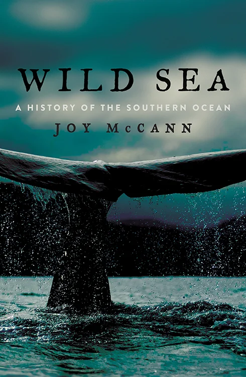 wild-sea.jpg