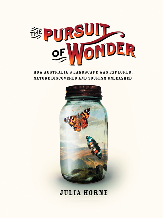 the-pursuit-of-wonder.jpg