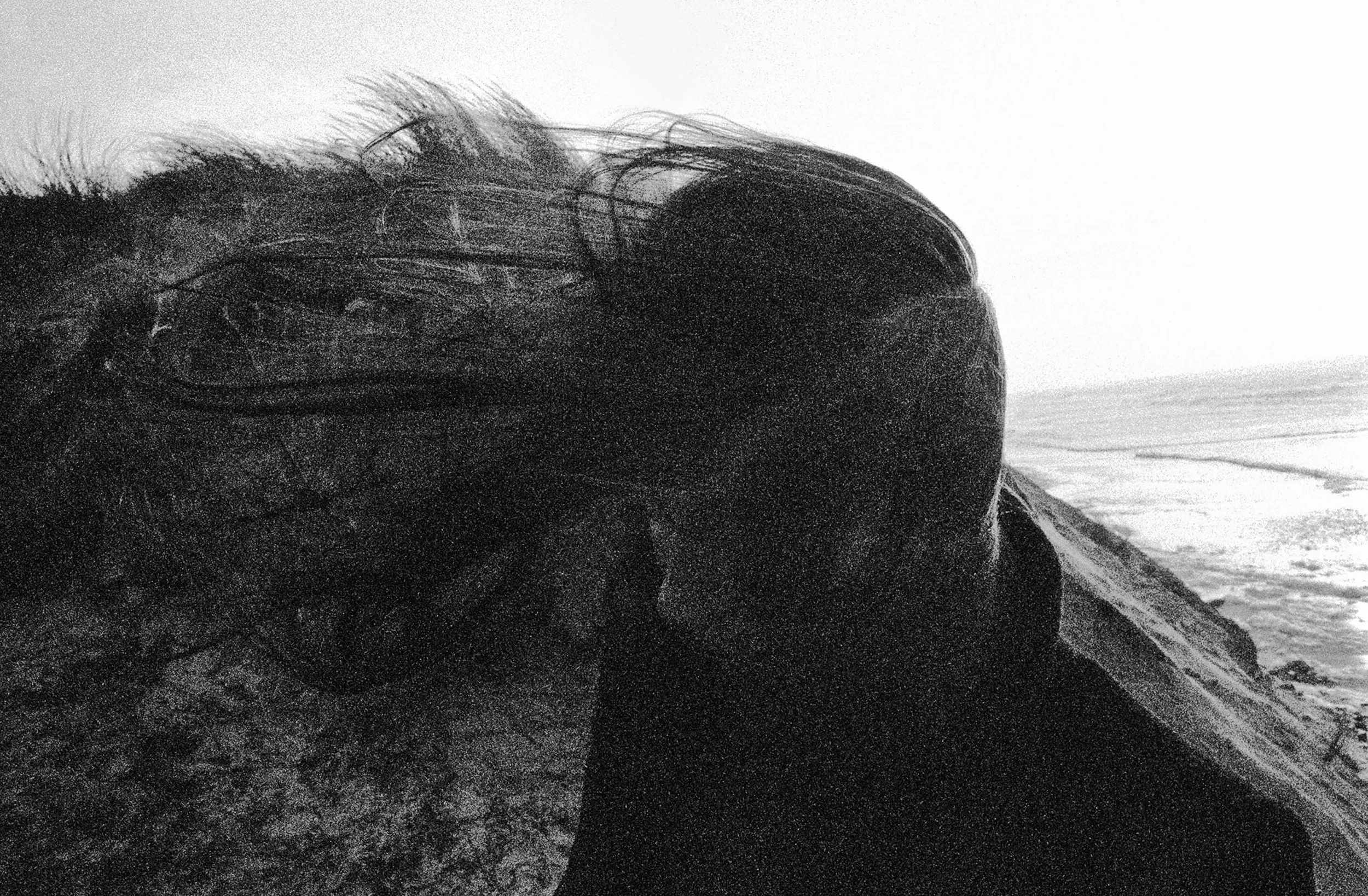 © Sissel Thastum, Untitled from the series I am here when you are here, 2014