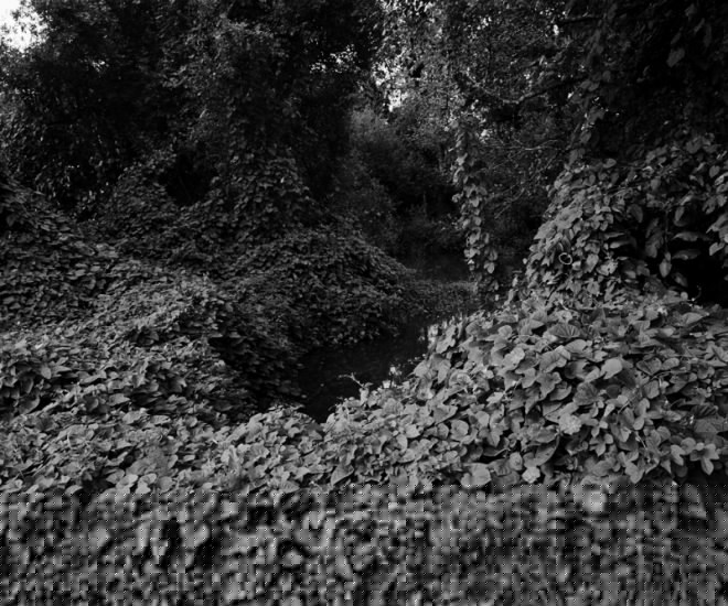 © Ana Catarina Pinho, Untitled from the ungoing series Lowlands